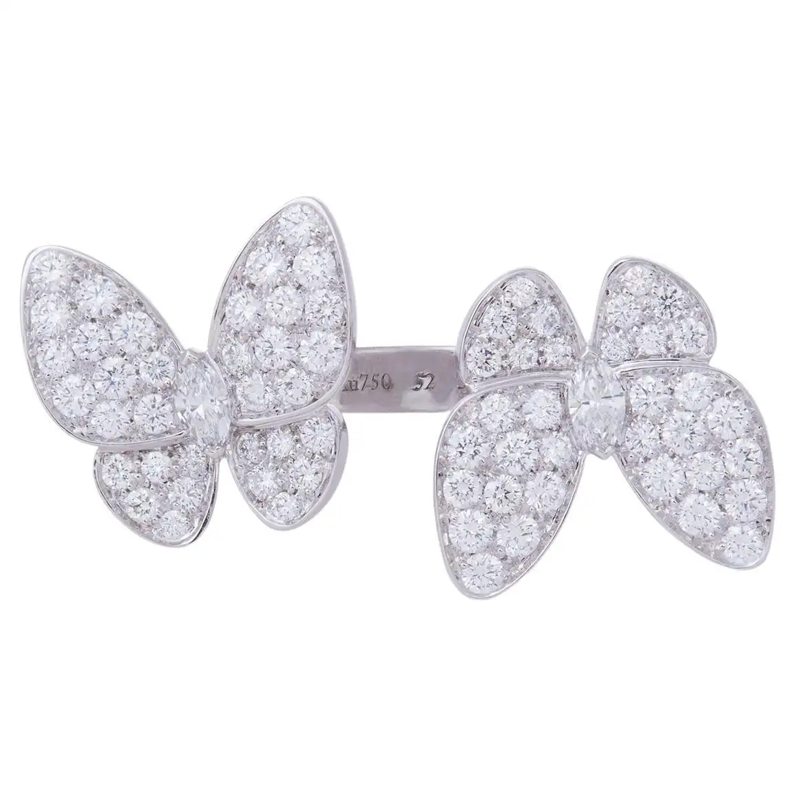 Two Butterfly Between the Finger Ring Two Butterfly Between the Finger Ring