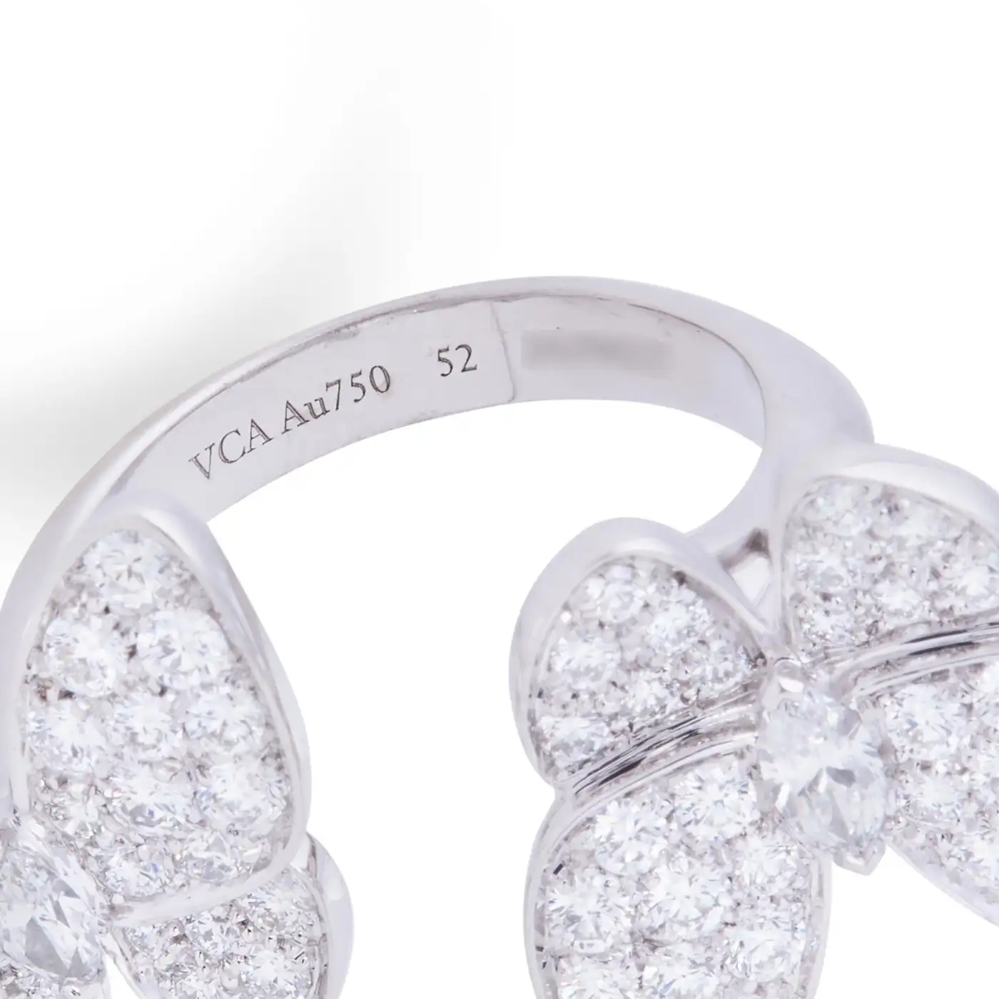 Two Butterfly Between the Finger Ring Two Butterfly Between the Finger Ring