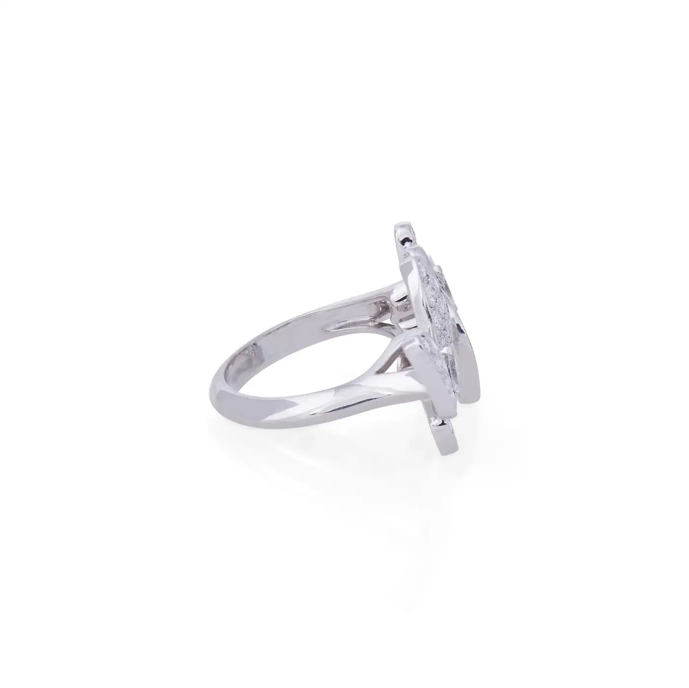 Two Butterfly Between the Finger Ring Two Butterfly Between the Finger Ring