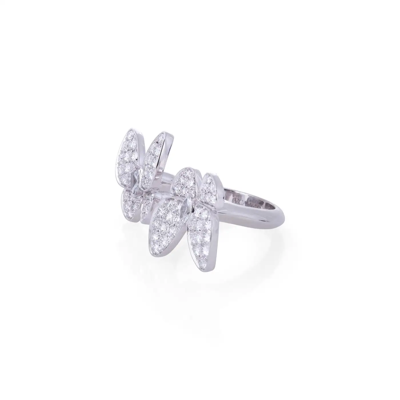 Two Butterfly Between the Finger Ring Two Butterfly Between the Finger Ring
